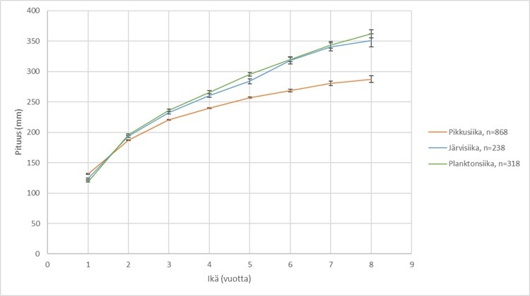 HINTTOLA siikamuotojen kasvu HINTTOLA siikamuotojen kasvu