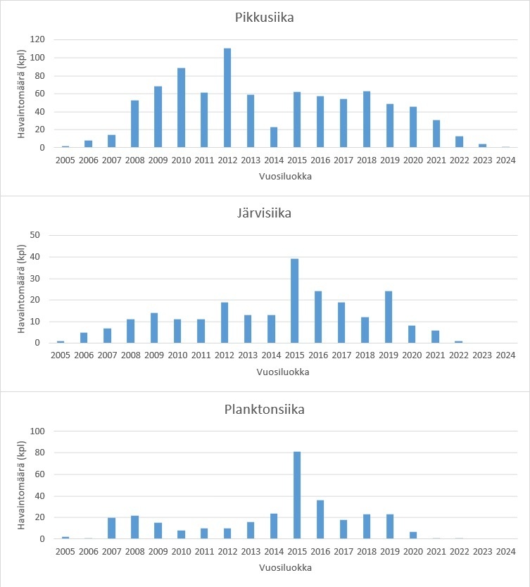 HINTTOLA Vuosiluokat HINTTOLA Vuosiluokat